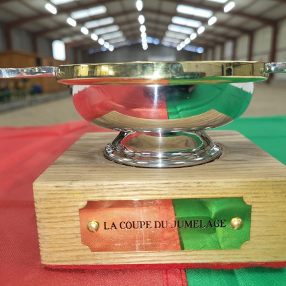 Rencontres avec villes jumelées d'IRLANDE